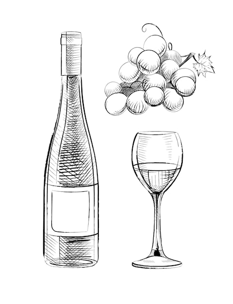 Vetor grátis conjunto desenhado à mão de vidro de garrafa de vinho e videira isolado na ilustração vetorial de fundo branco