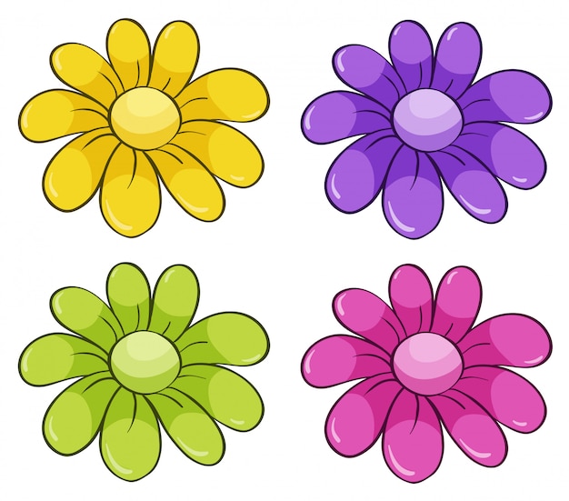 Conjunto isolado de flores