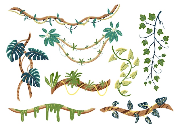 Conjunto plano de lianas tropicais com folhas verdes isoladas na ilustração vetorial de fundo branco