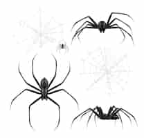 Vetor grátis conjunto realista de aranhas negras com imagens isoladas de teias de aranha e insetos artrópodes em ilustração vetorial de fundo em branco