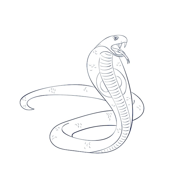 Cobra De Desenho Em Fundo Branco Ilustração do Vetor - Ilustração de preto,  cascavel: 148485692