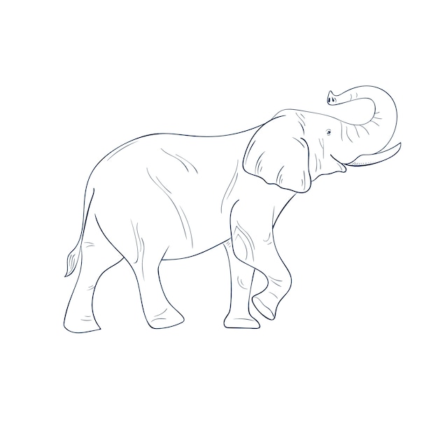 Contorno de elefante de design plano desenhado à mão