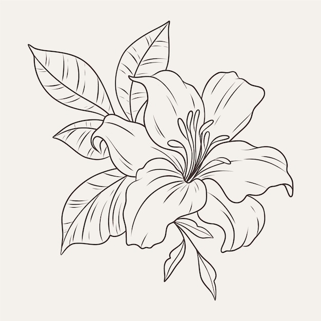 Vetor grátis contorno de flor simples de design plano desenhado à mão