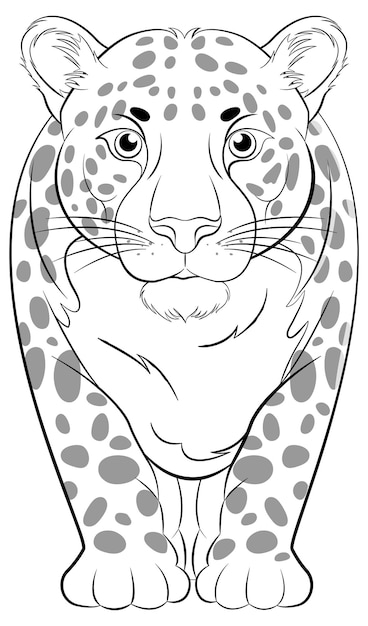 Contorno tigre caricatural para colorir