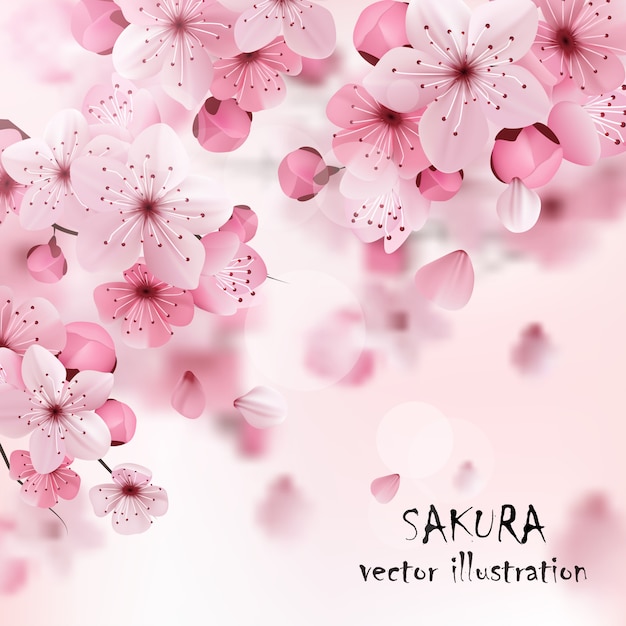 Vetor grátis cópia cor-de-rosa de sakura da cereja