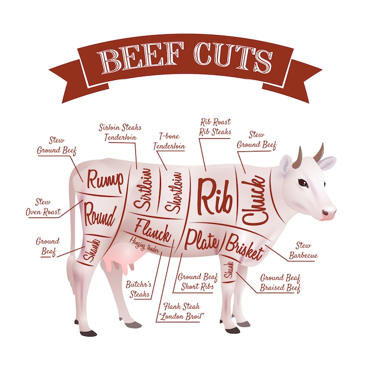 Vetor grátis corte de carne ilustração