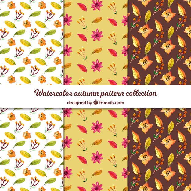 Criativa coleção de outono padrão