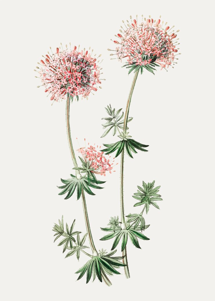 Vetor grátis crosswort caucasiano