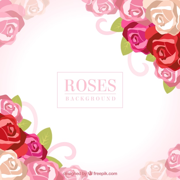 Cute fundo de rosas coloridas