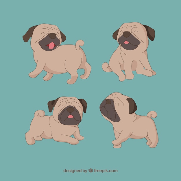 Vetor grátis cute pug dogs em poses diferentes