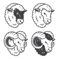 Vetor grátis de 4 cabeças de ovelhas e carneiros. monocromático, isolado no fundo branco.