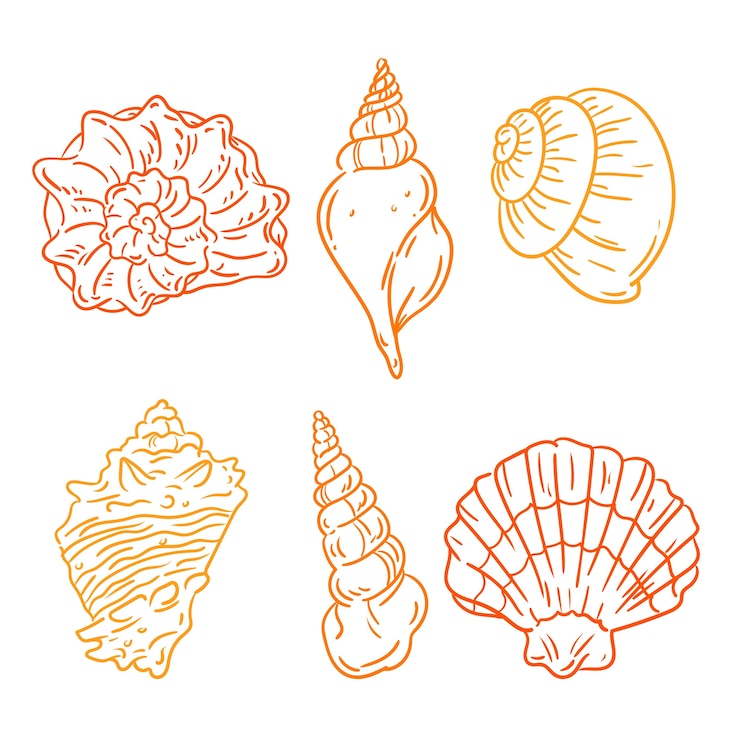 Vetor grátis delinear o conjunto de ilustração de conchas do mar