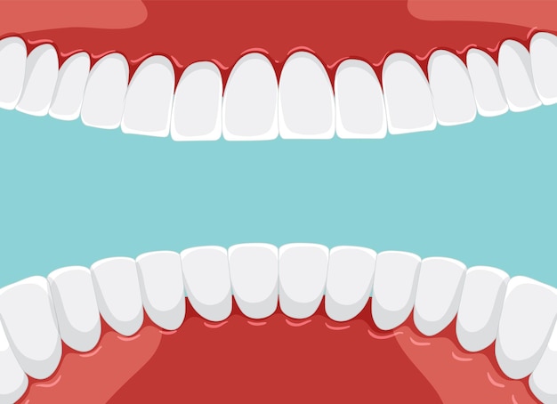 Vetor grátis dentes humanos dentro da boca com dentes branqueados