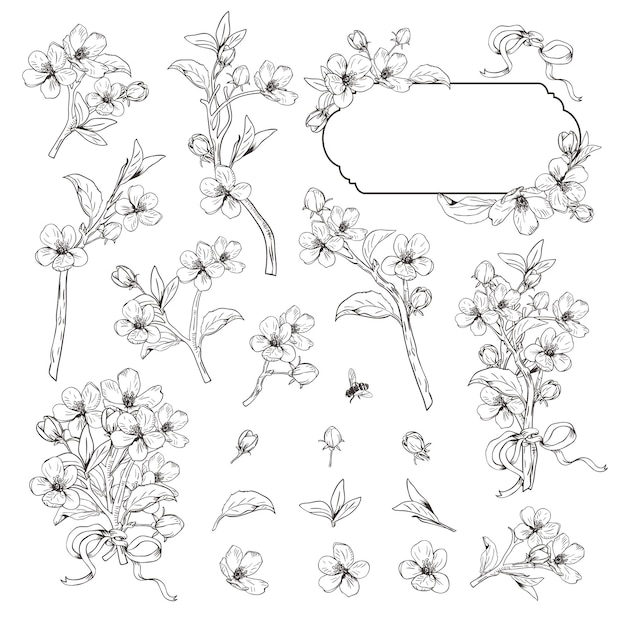 Desenhado à mão ramos de flores botânicas em fundo branco Vetor Premium