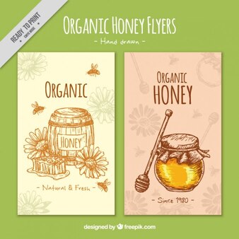Desenhado mão brochura da aguarela de mel