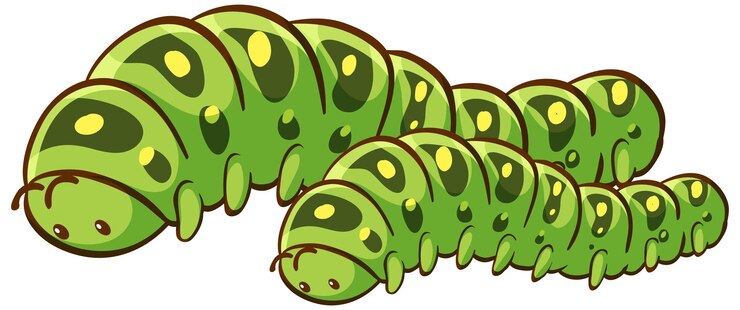 Vetor grátis desenho animal de lagartas grandes e pequenas em fundo branco