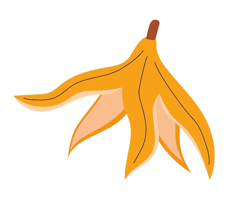 Vetor grátis desenho de casca de banana