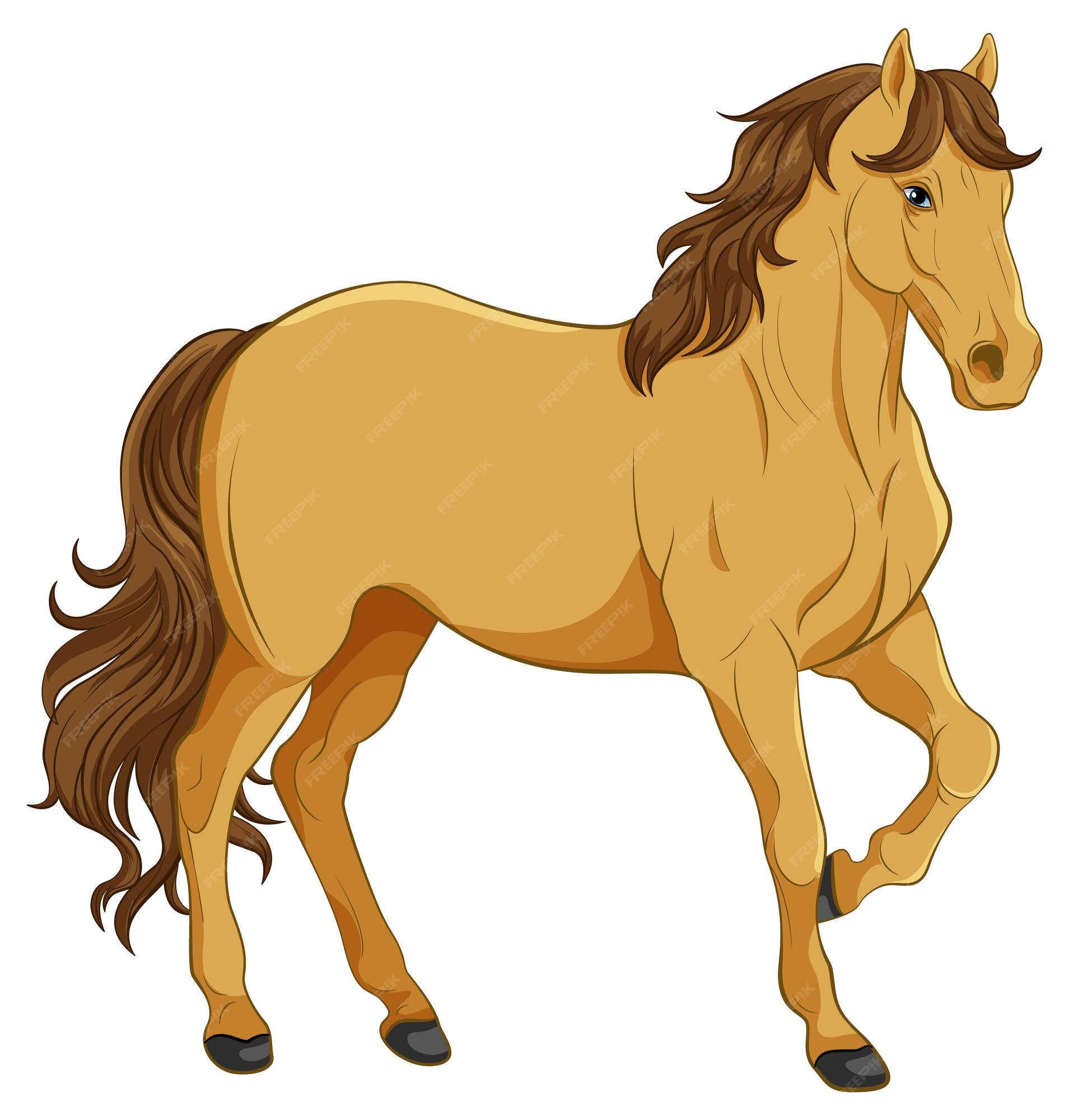 Ilustração De Desenho Animado De Cabeça De Cavalo Marrom PNG , Cavalo,  Desenho Animado, Ilustração PNG Imagem para download gratuito