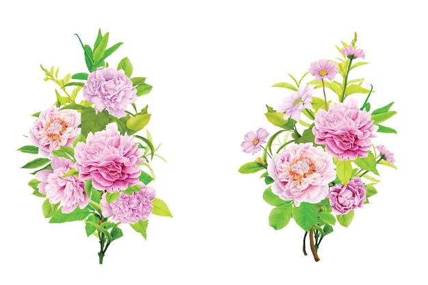 Desenho de ilustração de coroa floral de peônias