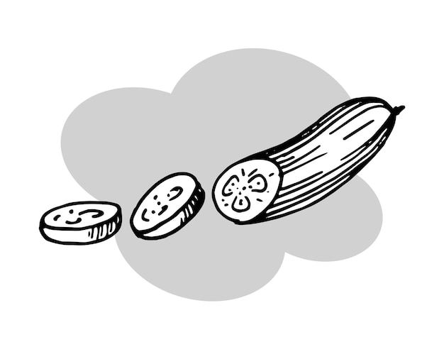 Desenho de um esboço vetorial de pepino fatiado em fundo branco