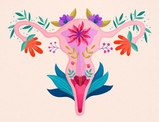 Desenho floral do sistema reprodutivo feminino