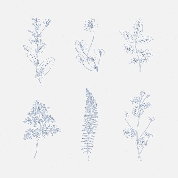 Desenho realista de ervas e flores silvestres