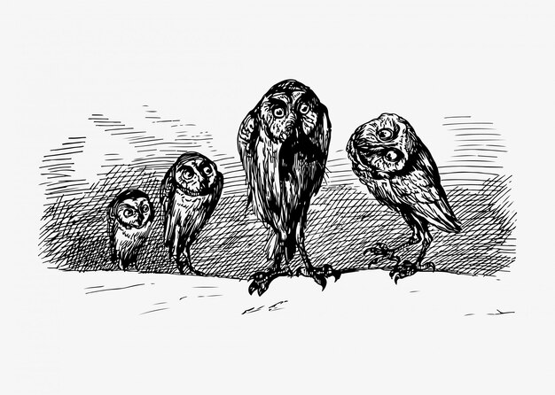Desenho vintage de corujas assustadoras