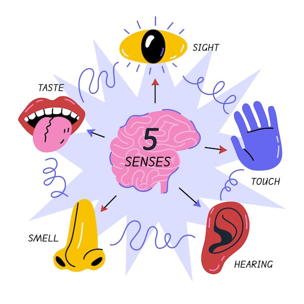 Vetor grátis design de infográfico de 5 sentidos