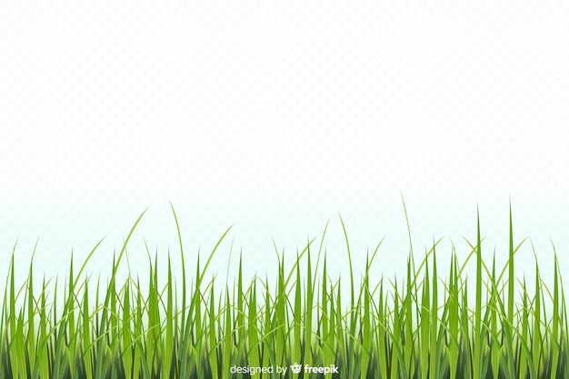 Design realista de fronteira de grama verde