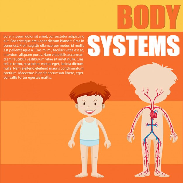 Vetor grátis diagrama de sistema de menino e corpo