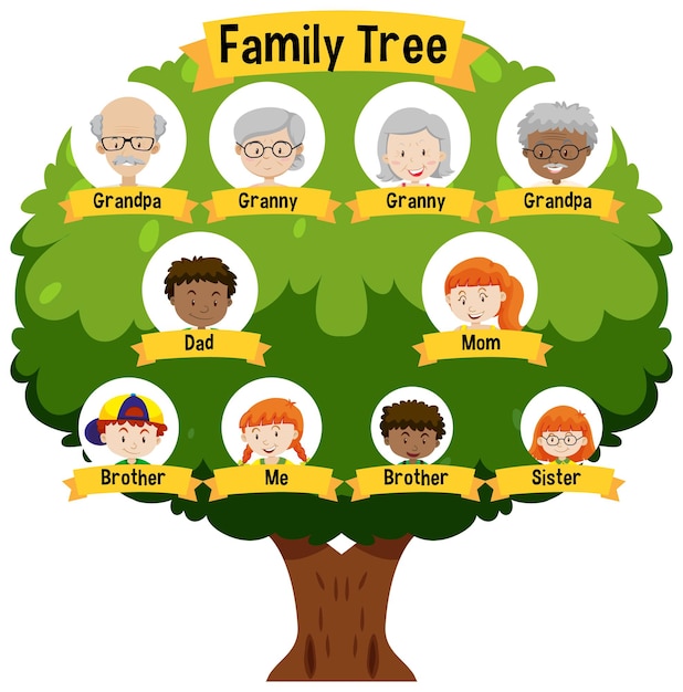 Vetor grátis diagrama mostrando árvore genealógica de três gerações
