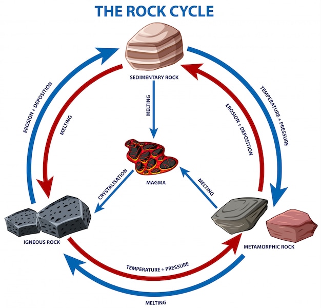 Vetor grátis diagrama mostrando o ciclo da rocha