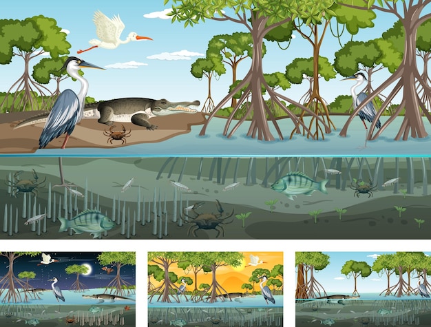 Vetor grátis diferentes cenas de paisagem de floresta de mangue com animais