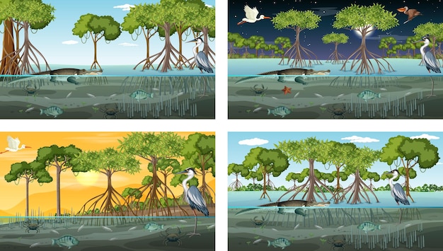 Vetor grátis diferentes cenas de paisagem de floresta de mangue com vários animais