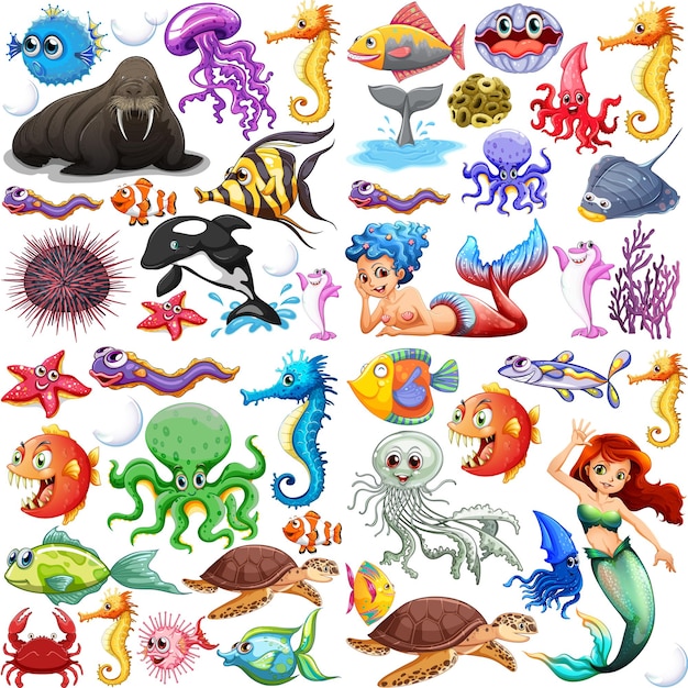 Diferentes tipos de animais marinhos
