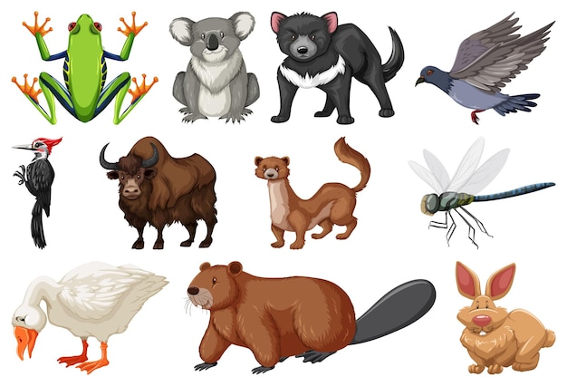 Vetor grátis diferentes tipos de coleção de animais