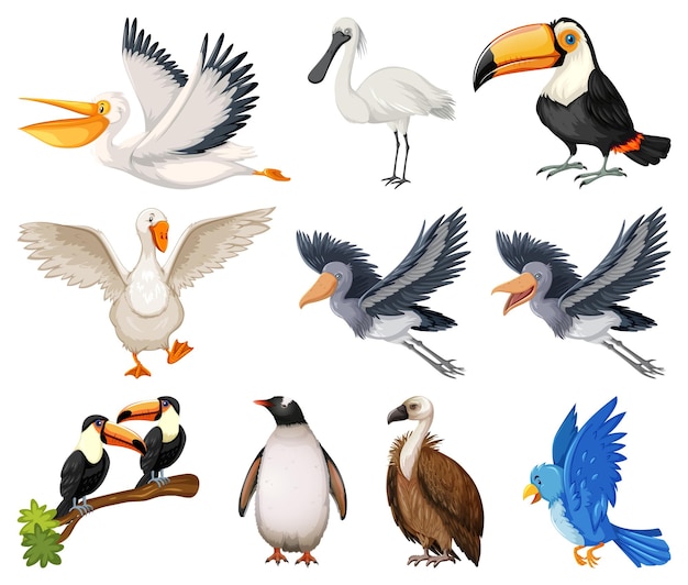 Crianças Que Apreciam O Jogo Do Papagaio, Ilustração Vetorial. Royalty Free SVG, Cliparts, Vetores, e Ilustrações Stock. Image 90824490