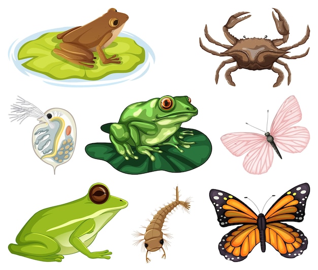 Vetor grátis diferentes tipos de insetos e animais em fundo branco