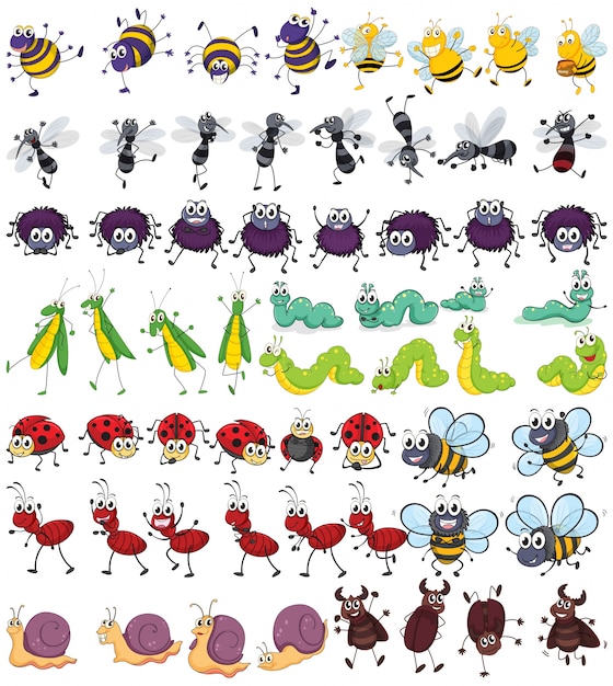 Diferentes tipos de pequenos insetos