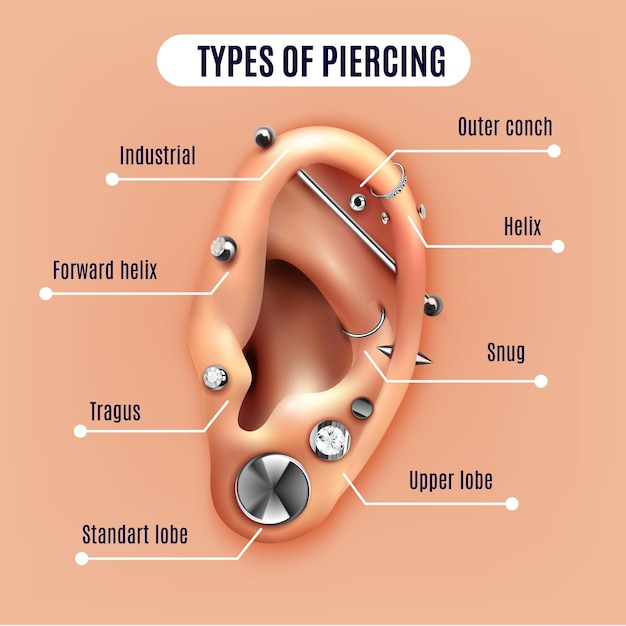 Diferentes tipos de pôster realista de piercing na orelha com ilustração vetorial de elementos infográficos