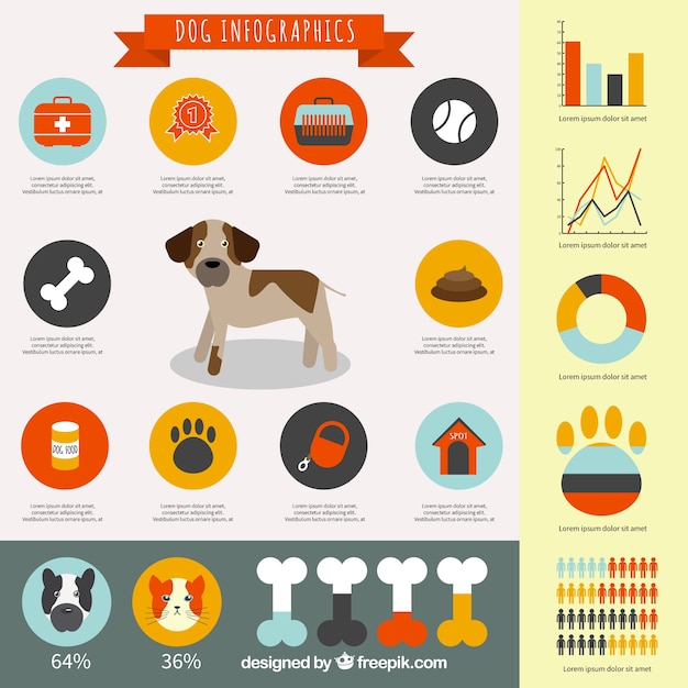 Vetor grátis dog infográfico