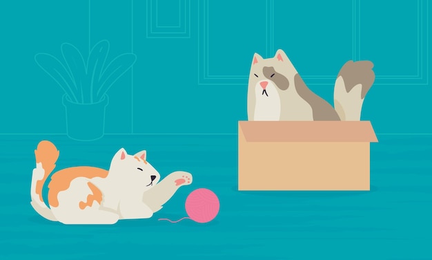 dois gatos brincando