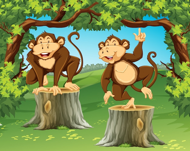 Vetor grátis dois macacos na selva