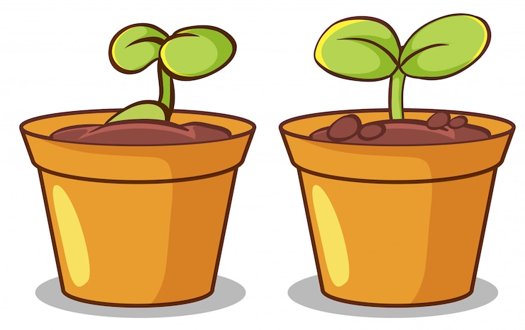 Vetor grátis dois vasos de plantas