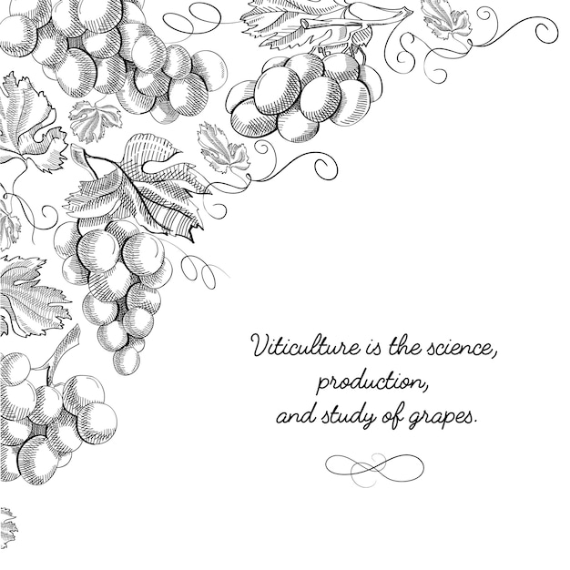 Doodle de cartão de design de tipografia com a inscrição de que a viticultura é ciência