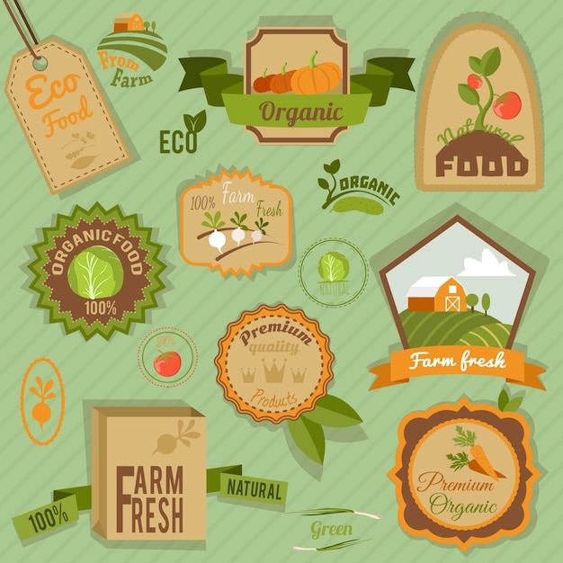 Eco fazenda alimentos orgânicos frescos vegetais rótulos e emblemas conjunto isolado ilustração vetorial