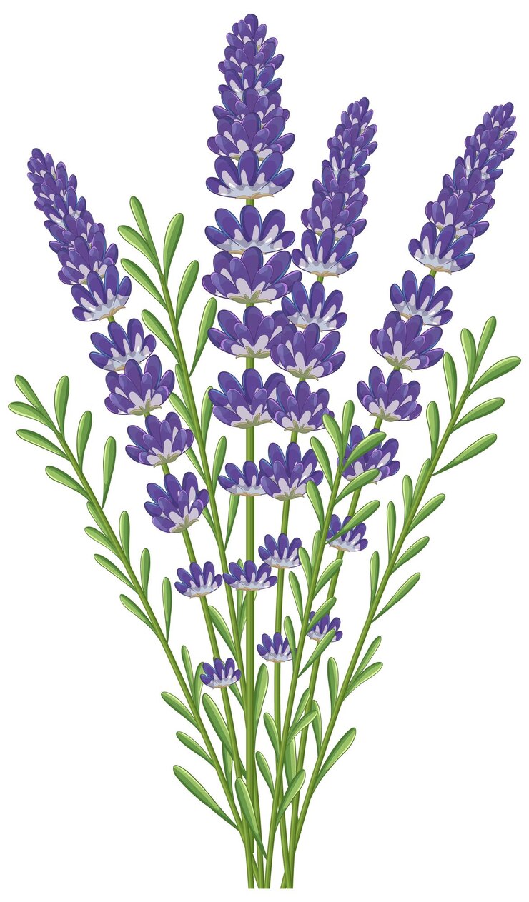 Vetor grátis elegant lavender bouquet vector illustration