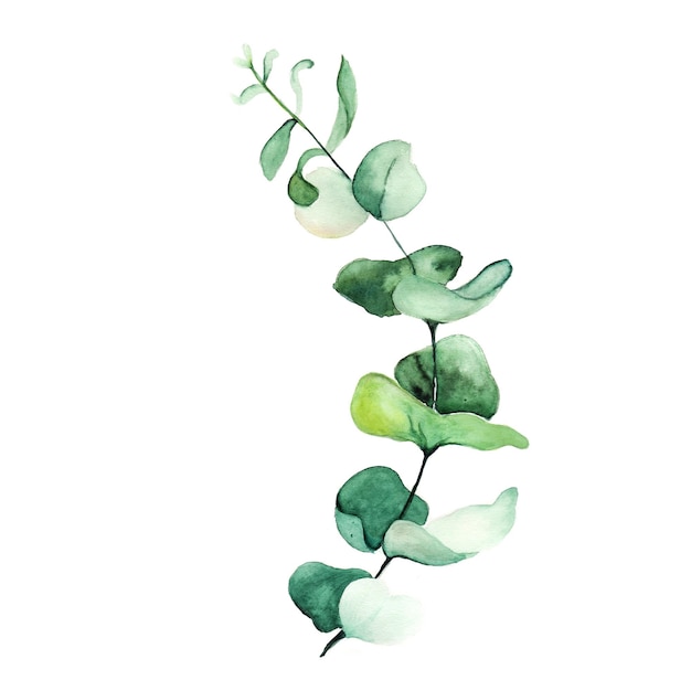 Elemento de folha abstrato verde aquarela ilustração de fundo de alta resolução Foto gratuita