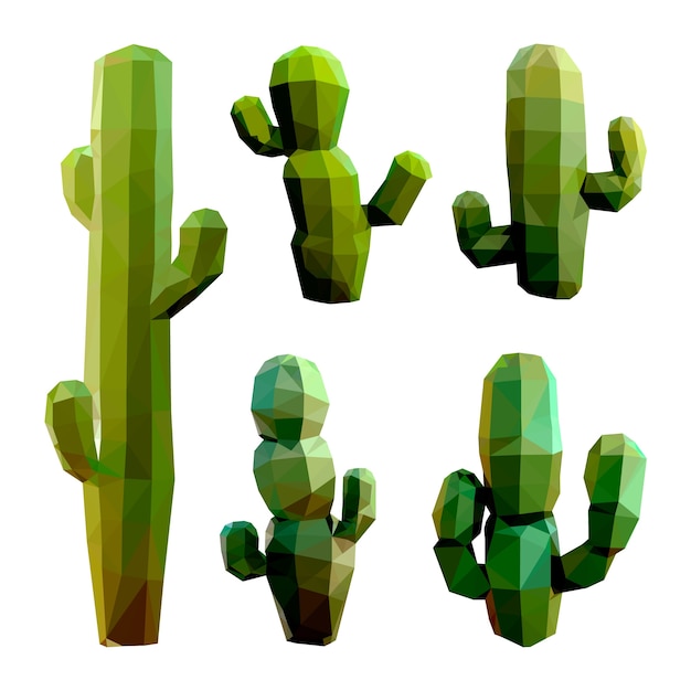 Green Cacto Saúde Plant PNG , Realista, Mão, Realista Imagem PNG e PSD Para  Download Gratuito