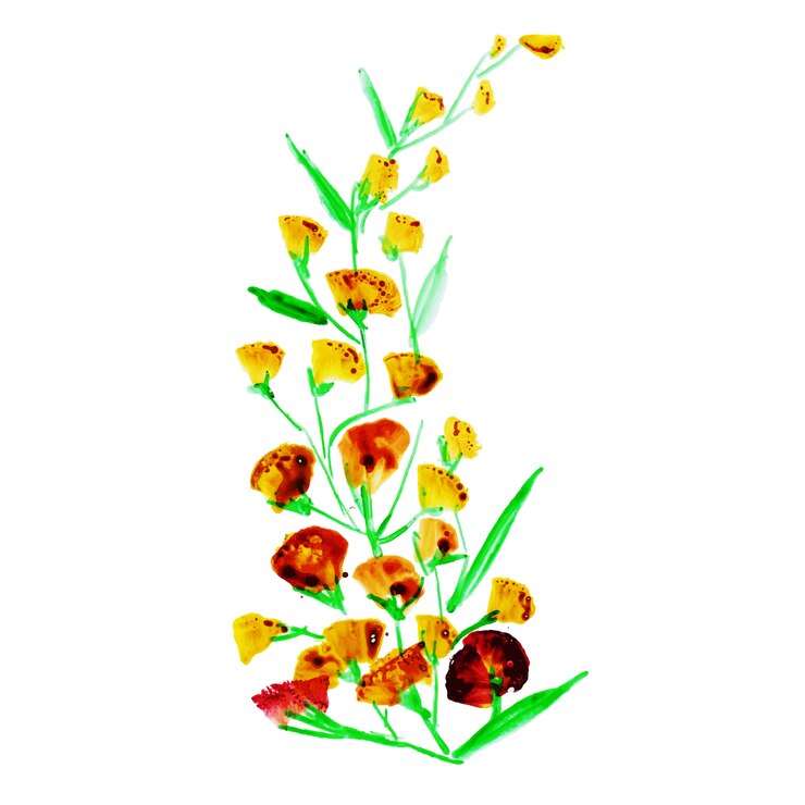 Vetor grátis elemento floral aquarela